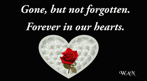 Condolences Sympathy GIF