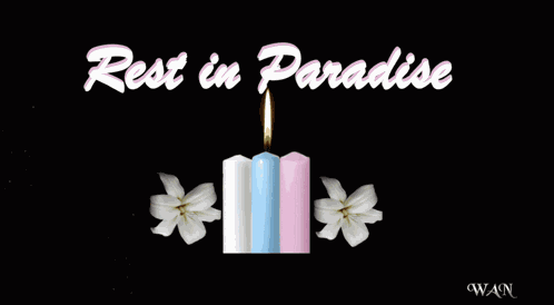 Condolences Sympathy GIF