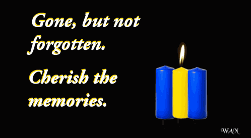Condolences Sympathy GIF