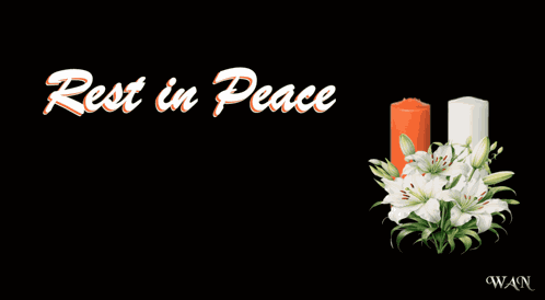 Condolences Sympathy GIF