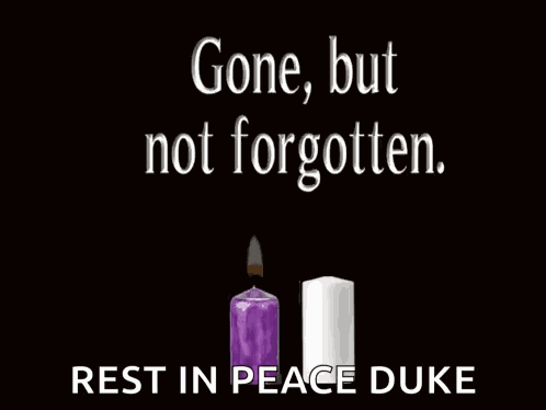 Condolences Sympathy GIF