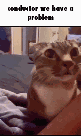 Conductor We Have A Problem Kitty GIF