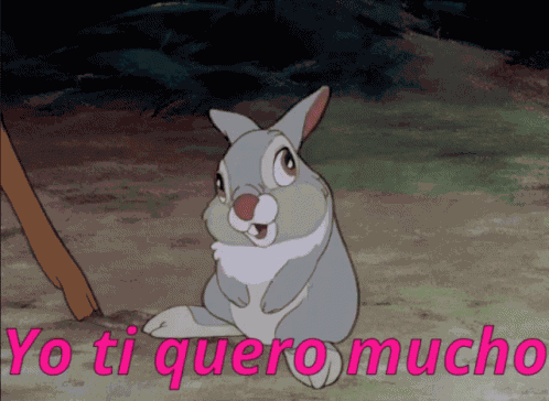 Conejo Tambor Avergonzado GIF