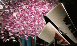 Confetti Canon GIF