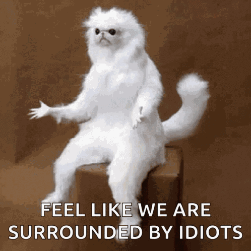 Confused White GIF