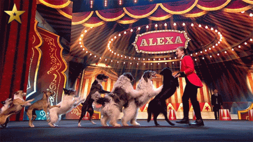 Conga Line Dogs GIF