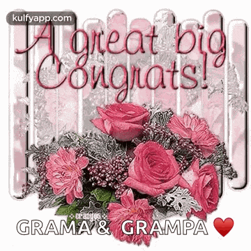 Congrats Actions GIF