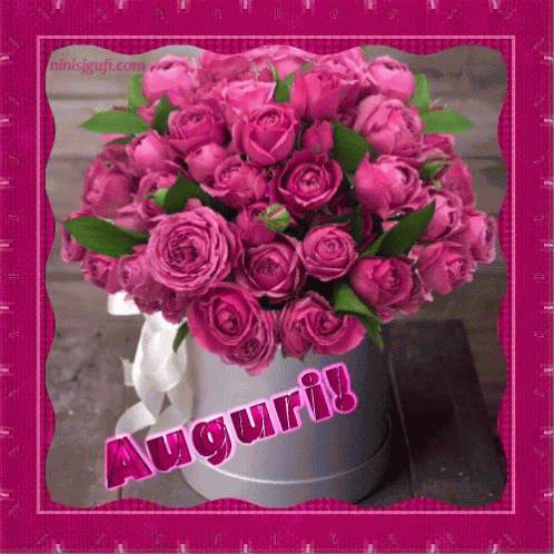Congrats Auguri GIF