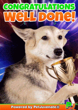 Congratulations Congrats Pj Pj Good Job Well Done Cute Gif Pj Petjuvenate GIF