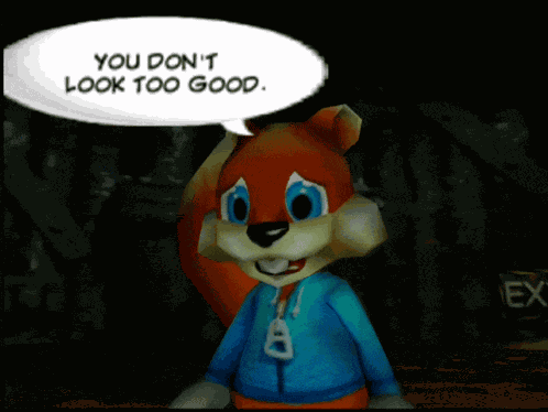 Conker Conker The Squirrel GIF