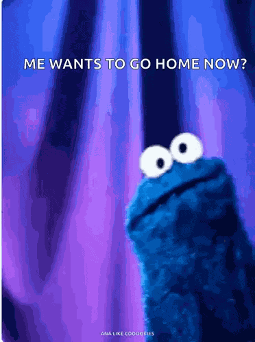 Cookie Monster Awkward GIF