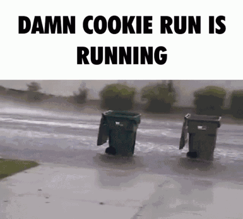 Cookie Run Cookie Run Kingdom GIF