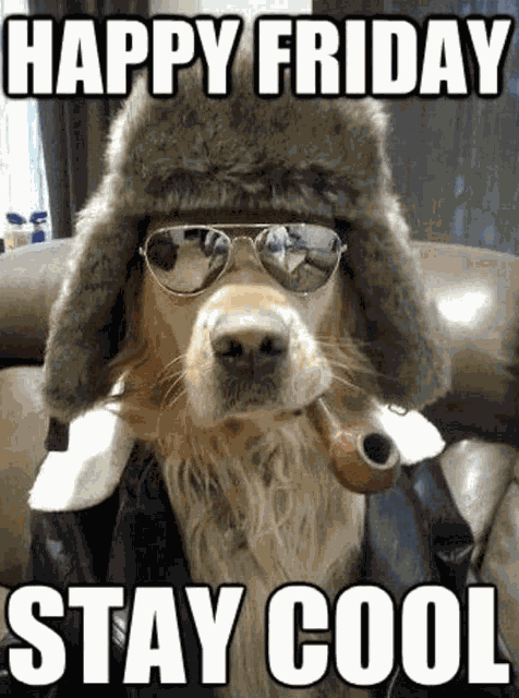 Cool Dog Meme