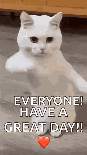 Cool Fun GIF