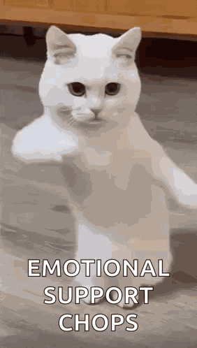 Cool Fun GIF