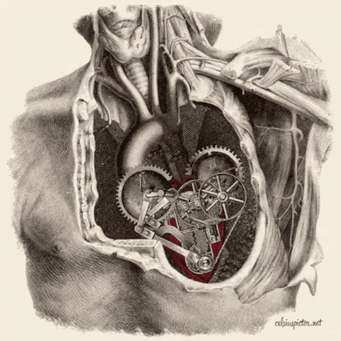 Corazon Heart GIF