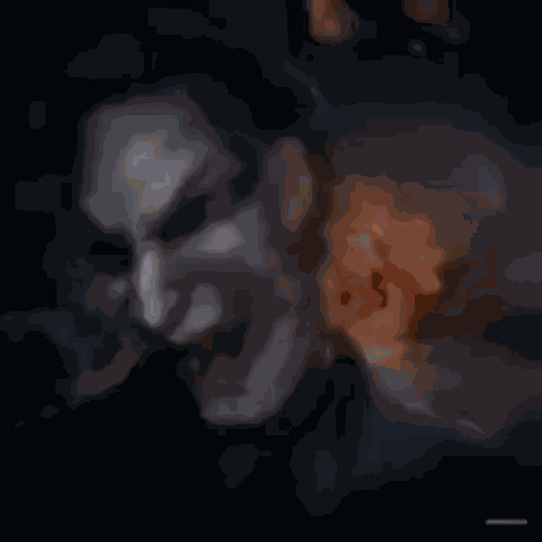 Coringa Edit Joker GIF