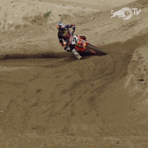 Cornering Red Bull GIF