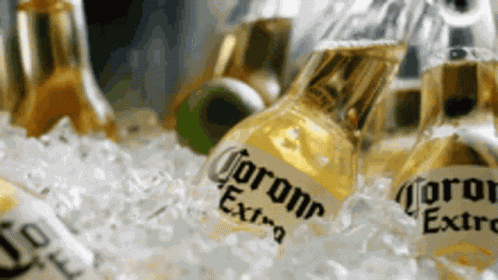 Corona Beer GIF