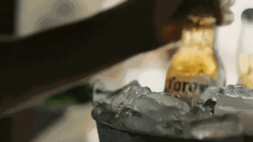 Corona Coronita GIF