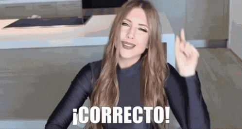 Correcto Bien GIF