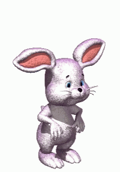 Coucou Rabbit GIF