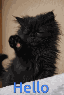 Coucou Toi Hello GIF