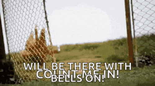 Count Me In Imin GIF