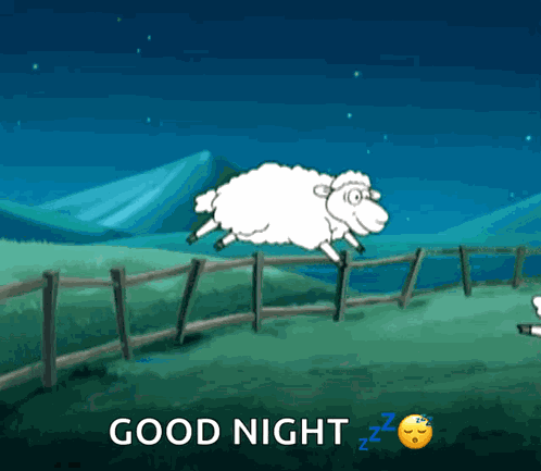 Counting Sheep Cant Sleep GIF