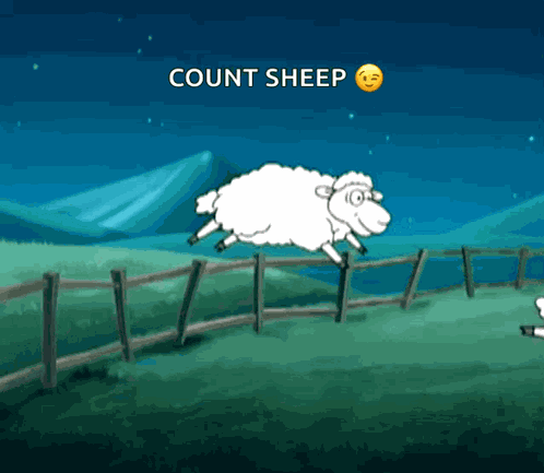 Counting Sheep Cant Sleep GIF