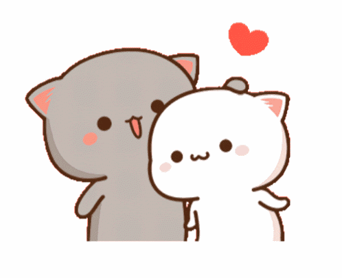 Couple Cat GIF