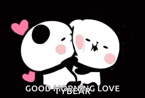 Couples Panda GIF