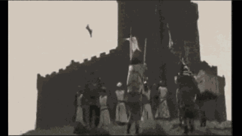 Cow Catapult Monty Python GIF