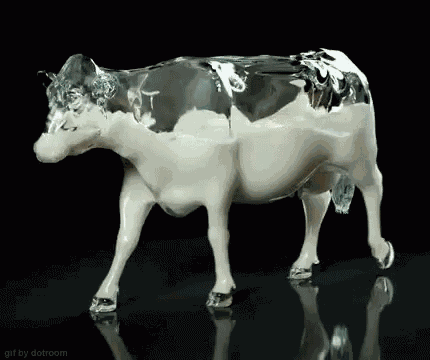 Cow Milk GIF