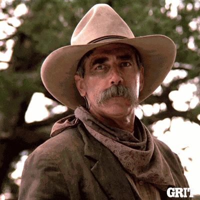 Cowboy Gif GIF