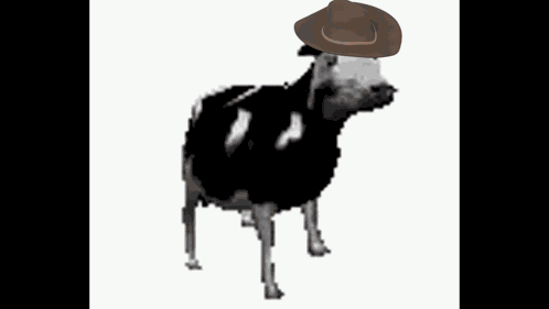 Cowcowwest GIF