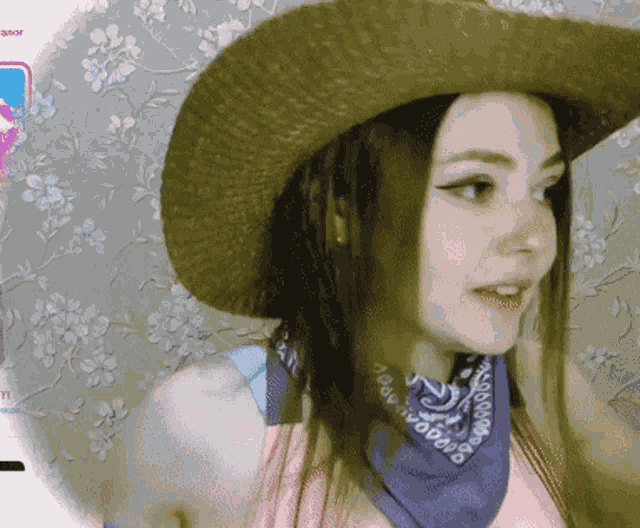 Cowgirl Evilmickie GIF