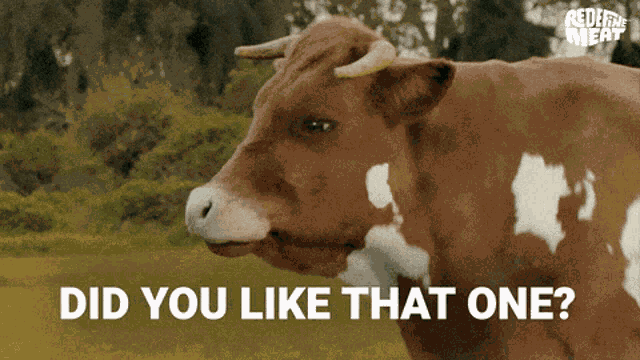Cowmedian Redefine GIF