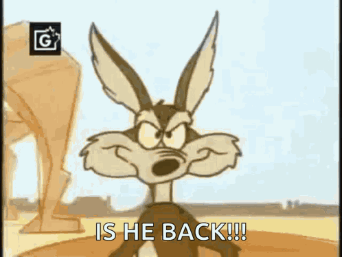 Coyote GIF