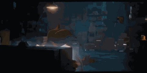 Coyotevacme Coyotevsacme GIF