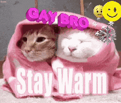 Cozy In Bed Cozy Vibe GIF