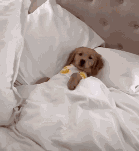 Cozy Warm And Cozy GIF