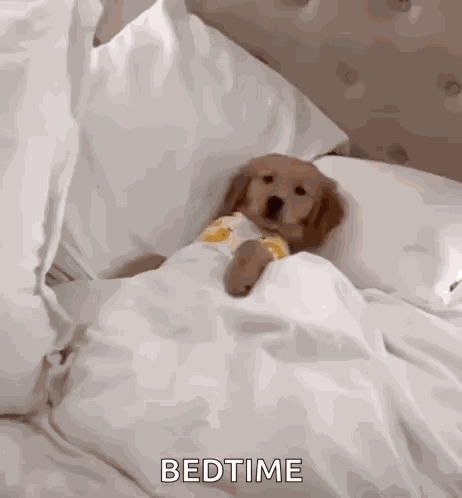 Cozy Warm And Cozy GIF