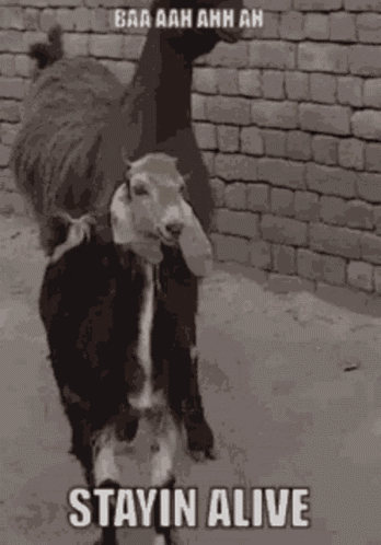 Cpr You GIF