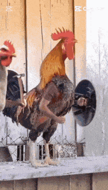 Cptasiye Asiyeee GIF