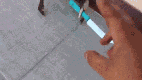 Crab Defense GIF