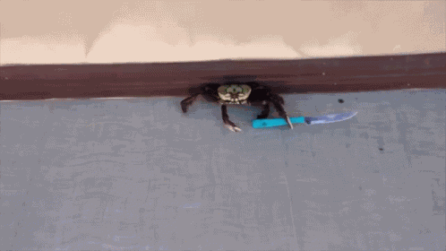Crab Knife GIF