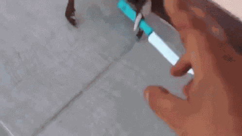 Crab Knowing GIF