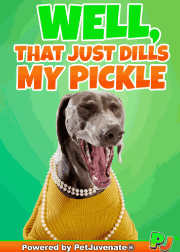 Cracking Up Funny Stuff Hilarious Comedy Gif Pj Petjuvenate Well That Just Dills My Pickle GIF
