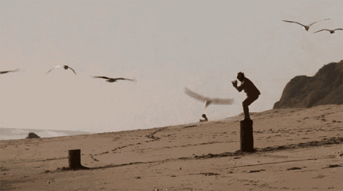 Crane Technique Mr Miyagi GIF